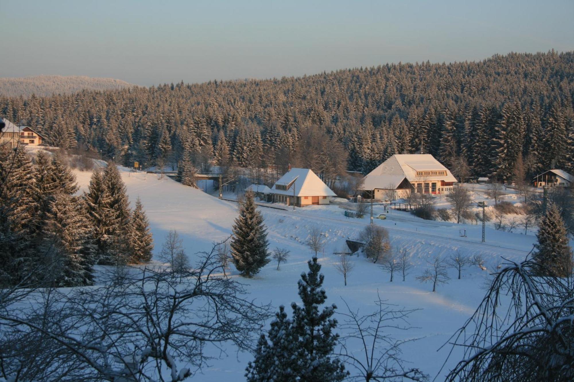 Hotel Waldeck Mit Restaurant "Florian'S" Feldberg  Exteriér fotografie